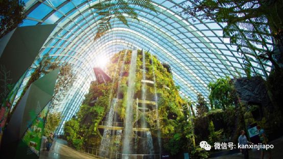 开云 开云体育平台目之所及都是“绿”！新加坡花园城市到底是怎么建起来的(图3)