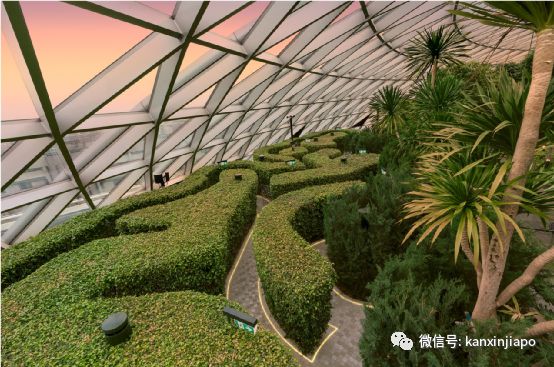 开云 开云体育平台目之所及都是“绿”！新加坡花园城市到底是怎么建起来的(图5)