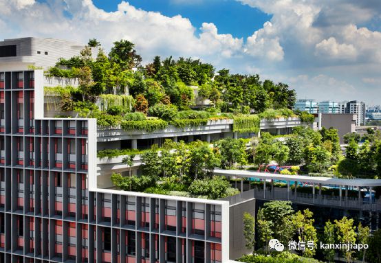 开云 开云体育平台目之所及都是“绿”！新加坡花园城市到底是怎么建起来的(图12)