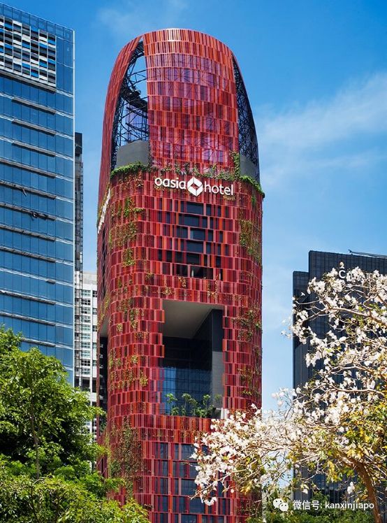 开云 开云体育平台目之所及都是“绿”！新加坡花园城市到底是怎么建起来的(图10)