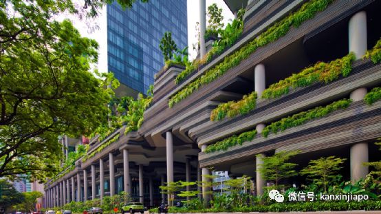 开云 开云体育平台目之所及都是“绿”！新加坡花园城市到底是怎么建起来的(图8)