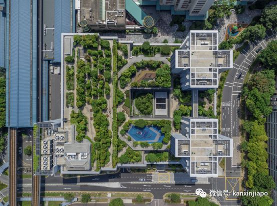 开云 开云体育平台目之所及都是“绿”！新加坡花园城市到底是怎么建起来的(图11)