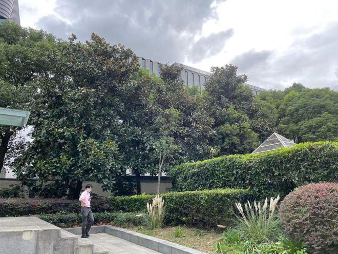 这3座绿地公园迎改造升级普陀开云 开云体育APP的在这里(图2)