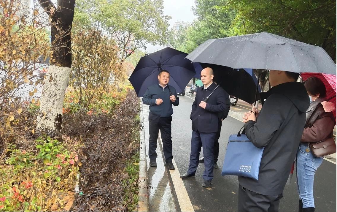吴忠浩调度中心城区园林开云体育 kaiyun.com 官网入口绿化管养及市容环境整治工作(图1)