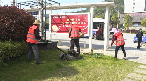 开云 开云体育平台市园林绿化事务中心：全面打造舒适、优美的城市环境(图1)