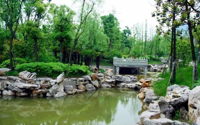 开云体育 开云平台如何在园林工程中营造挡土墙景观？(图3)