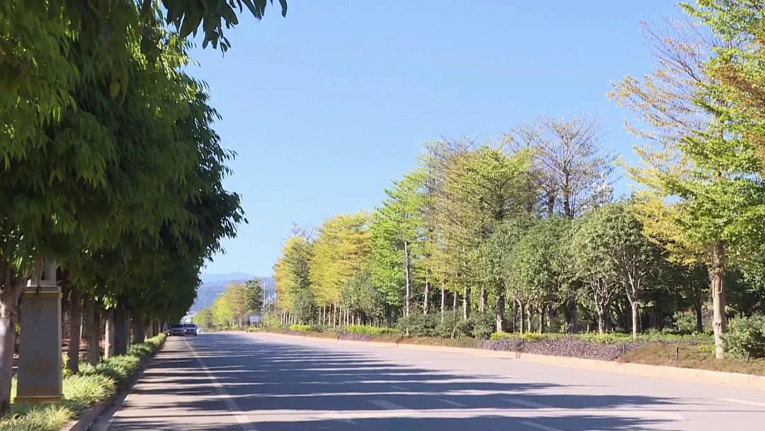 石屏县：绿美城市建设提升群众开云 开云体育平台生活品质(图1)