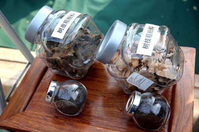 开云体育 开云平台全市首家绿废利用园林绿化专家工作站挂牌(图1)