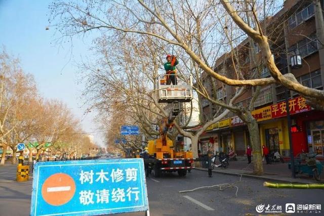 破“旧”迎“新”蓄“能量”青州市打响春季绿化养护“第一枪”开云 开云体育官网(图3)