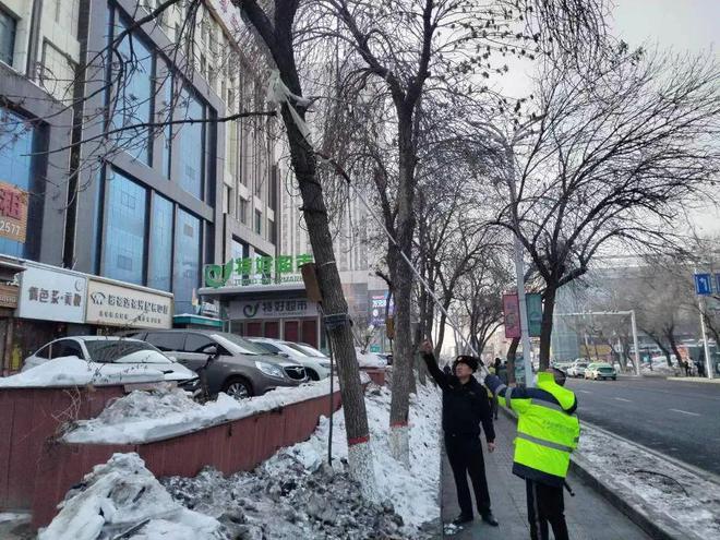 园林绿化养护中开云 开云体育APP心加强树木修剪工作 杜绝安全隐患(图2)