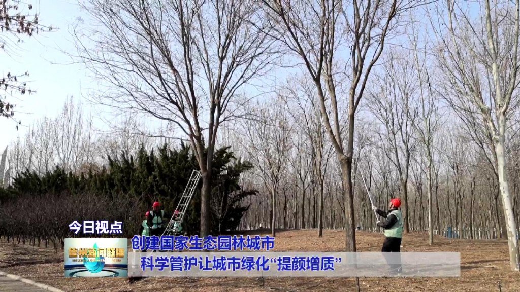 开云体育 开云官网科学管护让城市绿化“提颜增质”【创建国家生态园林城市】(图1)