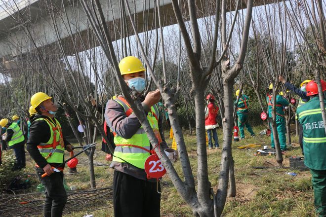 开云体育 开云官网商丘市举行2023年园林绿化（修剪）职工职业技能竞赛(图7)