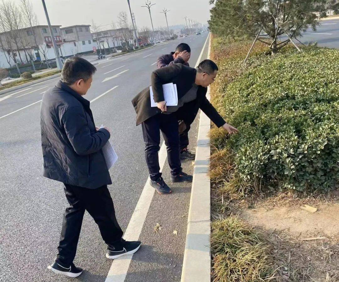 临沂市园Kaiyun 开云林绿化行业2022年度“园林优质工程”评审工作落下帷幕(图1)