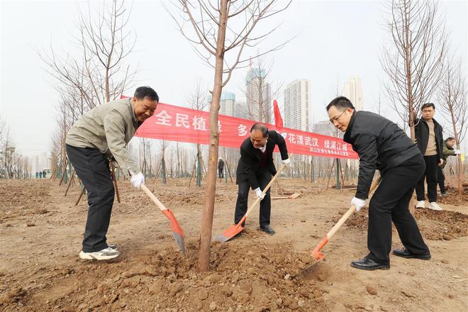 开云体育 开云平台武汉洪山区开展义务植树活动青菱河东路将打造道路绿化带(图3)