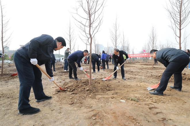 开云体育 开云平台武汉洪山区开展义务植树活动青菱河东路将打造道路绿化带(图1)