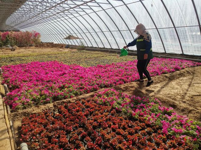 春季“打扮”好时节 园林绿化忙起来开云 开云体育平台(图4) 春季“打扮”好时节 园林绿化忙起来开云 开云体育平台(图4)