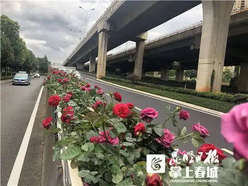 网友：我开云 开云体育还想…… 昆明：安排！(图1)