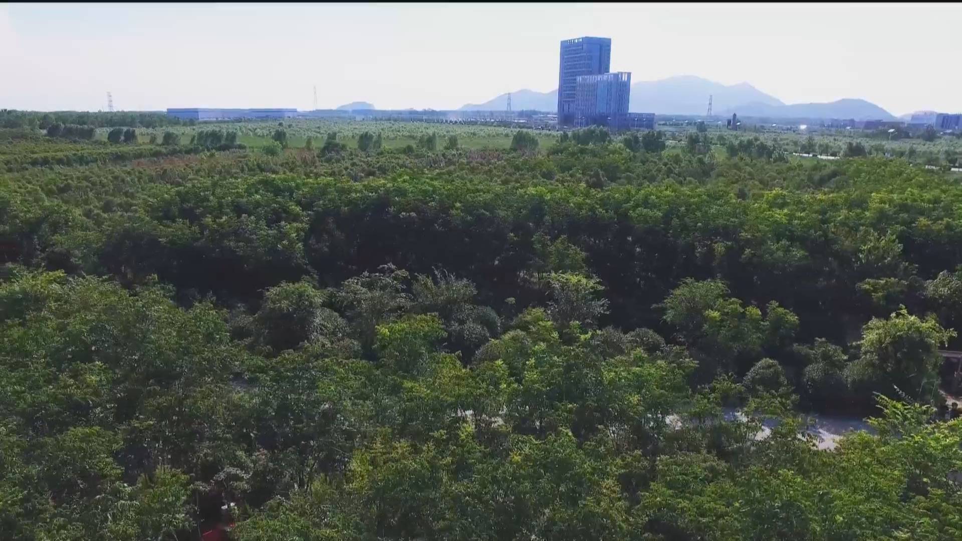 厚植生态底色 连云港市今年计划完成绿化造林2085万亩开云 开云体育平台(图3)