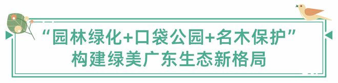 开云 开云体育官网稳妥推进城市园林绿化助力绿美广东生态建设(图2)