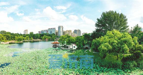 Kaiyun 开云济南莱芜区着力推动园林绿化高质量发展让城市更加宜居宜业(图1)