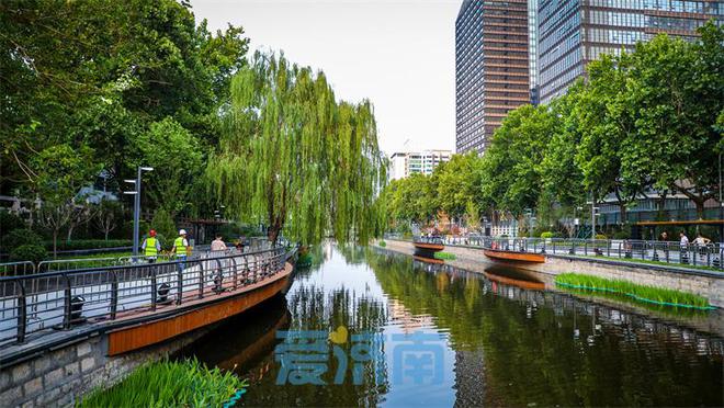 Kaiyun 开云济南莱芜区着力推动园林绿化高质量发展让城市更加宜居宜业(图2)