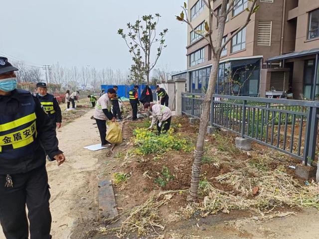 漯河市城管开开云 开云体育官网展城区绿地专项整治行动(图1)