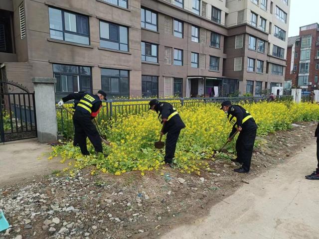 漯河市城管开开云 开云体育官网展城区绿地专项整治行动(图2)