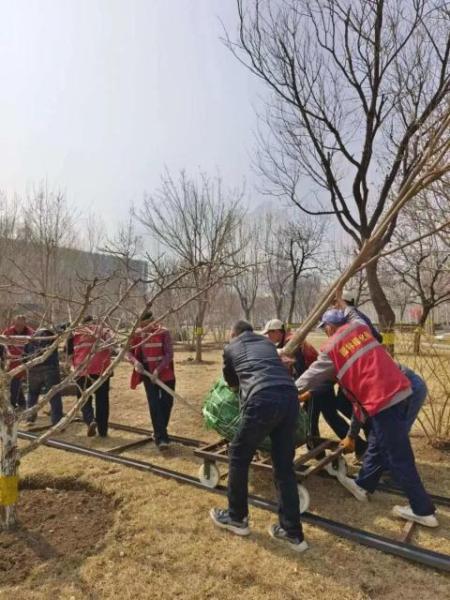 开云 开云体育“植”此青绿不负春光(图1)
