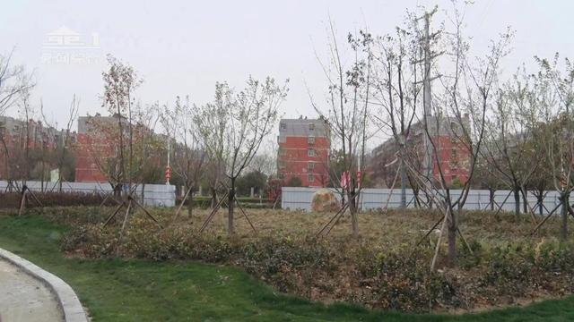 官庄工区开展开云体育 kaiyun.com 官网入口园林绿化建设观摩活动(图2)