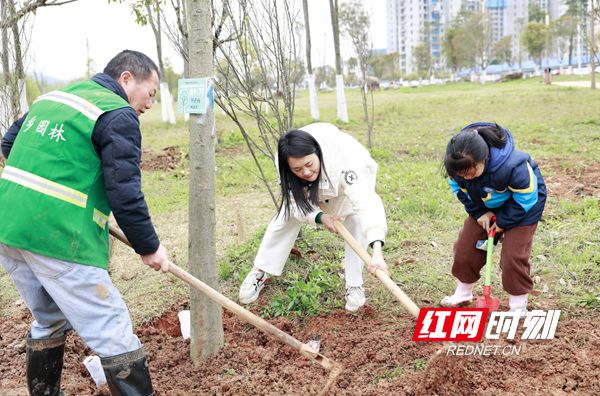 开云体育 开云平台“植”此青绿宁乡与春天撞个满怀(图1)