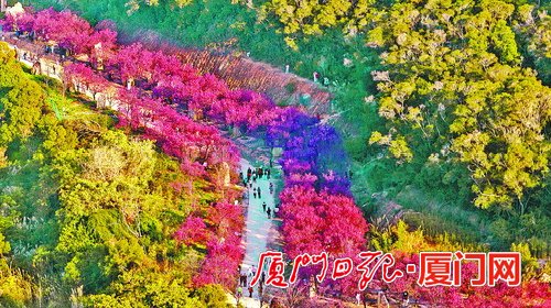 由开云体育 kaiyun.com 官网入口绿向美！厦门园林绿地面积超16800公顷(图3)