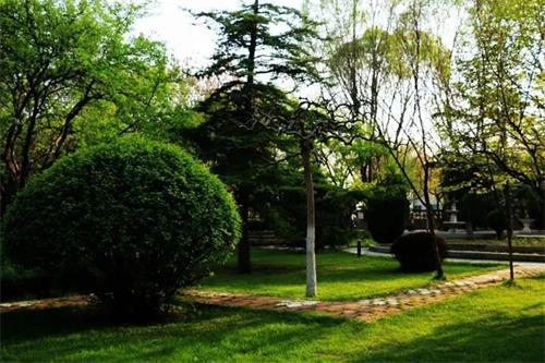 开云体育 开云官网兰州：奋力谱写全市林业草原和城市园林绿化新篇章(图5)
