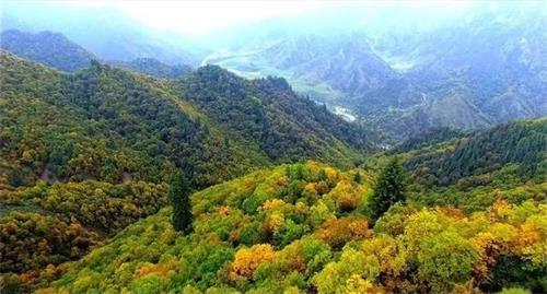 开云体育 开云官网兰州：奋力谱写全市林业草原和城市园林绿化新篇章(图4)