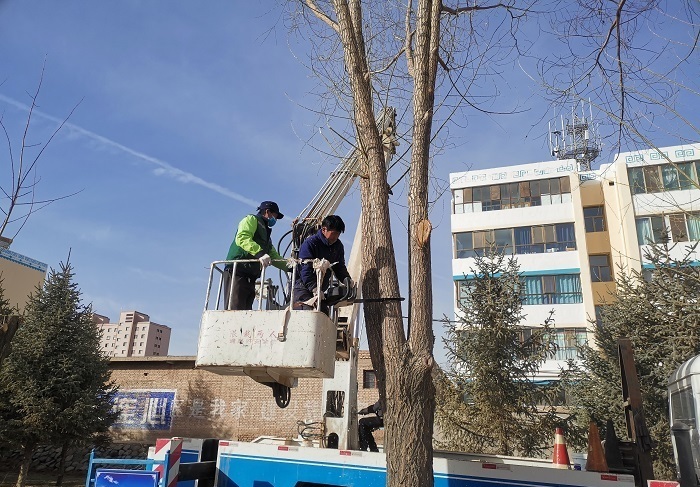 开云 开云体育APP肃北：春季扮靓好时节 园林绿化修剪忙(图1)
