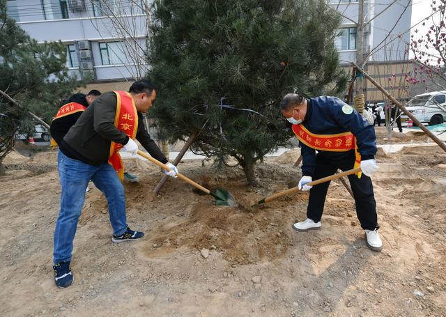 东城开展全民义务植树活开云体育 开云平台动全区设42个树木、绿地认养点(图1)