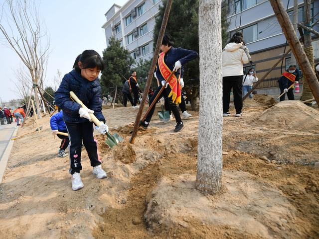 东城开展全民义务植树活开云体育 开云平台动全区设42个树木、绿地认养点(图2)