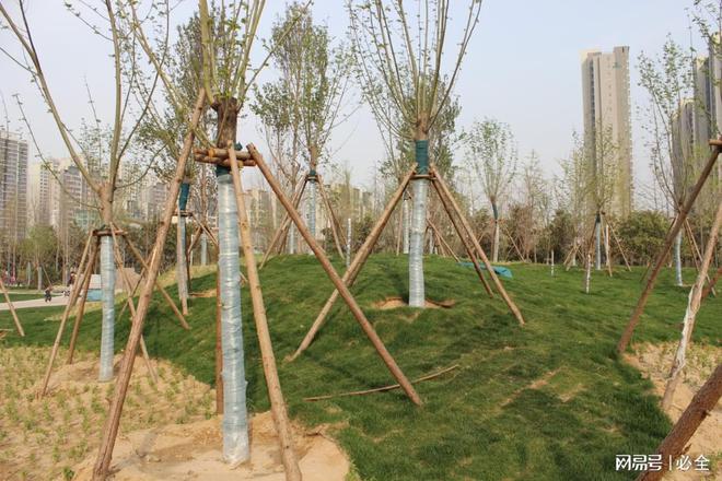 草坪在园林景观中的分类开云体育 开云官网应用和养护管理(图4)