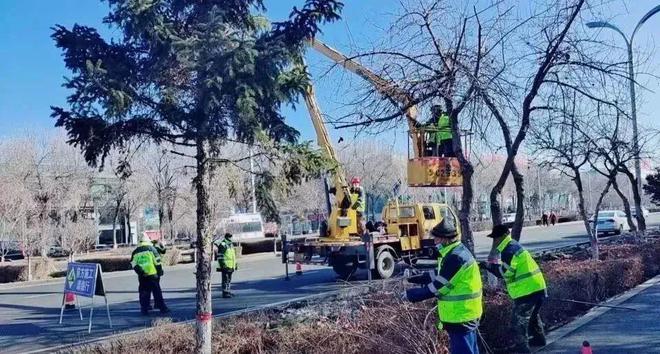 园林绿化养护中心： 抓细做实 推进国家生态园林城市创建开云 开云体育APP(图2)