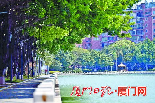 开云体育 开云官网思明区市政园林局开展主题实践活动 为争创全国文明典范城市贡献力量(图1)