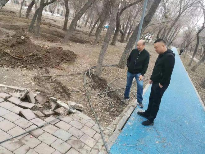 园林绿化养护中心以建为引领 努力“绣”出城开云体育 kaiyun.com 官网入口市新品质(图2)