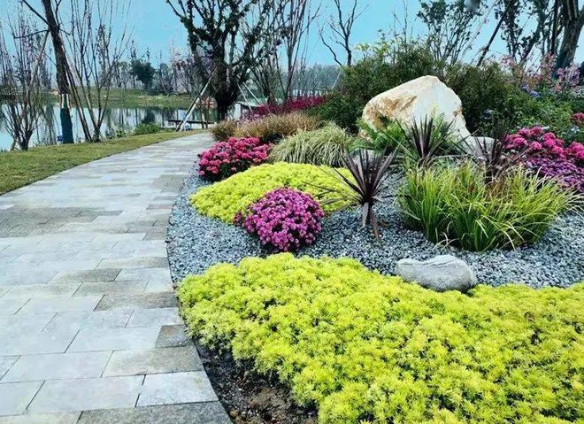 开云 开云体育平台索尔园林集团——实战分享！市政道路花境这样做！(图6)