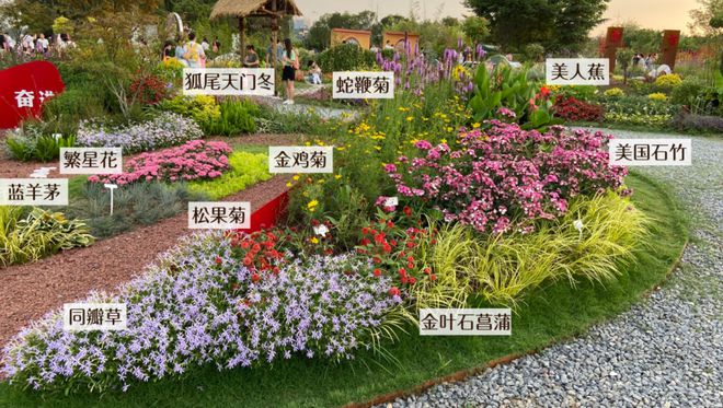 开云 开云体育平台索尔园林集团——实战分享！市政道路花境这样做！(图4)