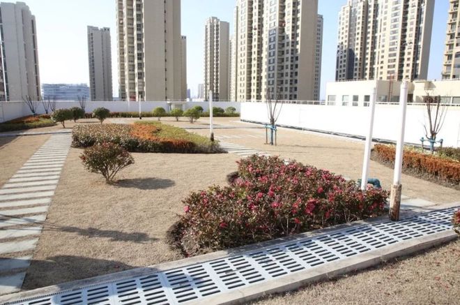 索开云体育 kaiyun.com 官网入口尔园林——立体绿化在各地发展迅速 备受学校、公园、物业青睐(图6)