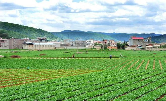 索尔园林集团——乡村振兴 营造农田景观让城里人来稻开云 开云体育田喝咖啡(图6)