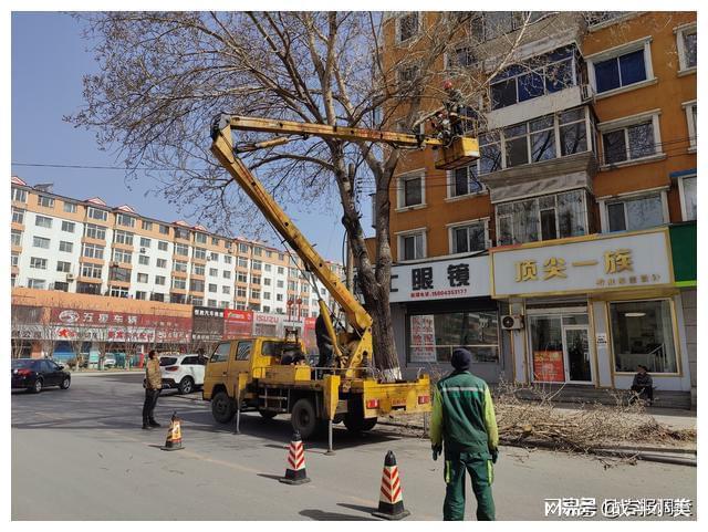 通化抢抓春季绿化“黄金期”稳步推进城区园林绿化工作开云体育 开云平台(图4) 通化抢抓春季绿化“黄金期”稳步推进城区园林绿化工作开云体育 开云平台(图4)