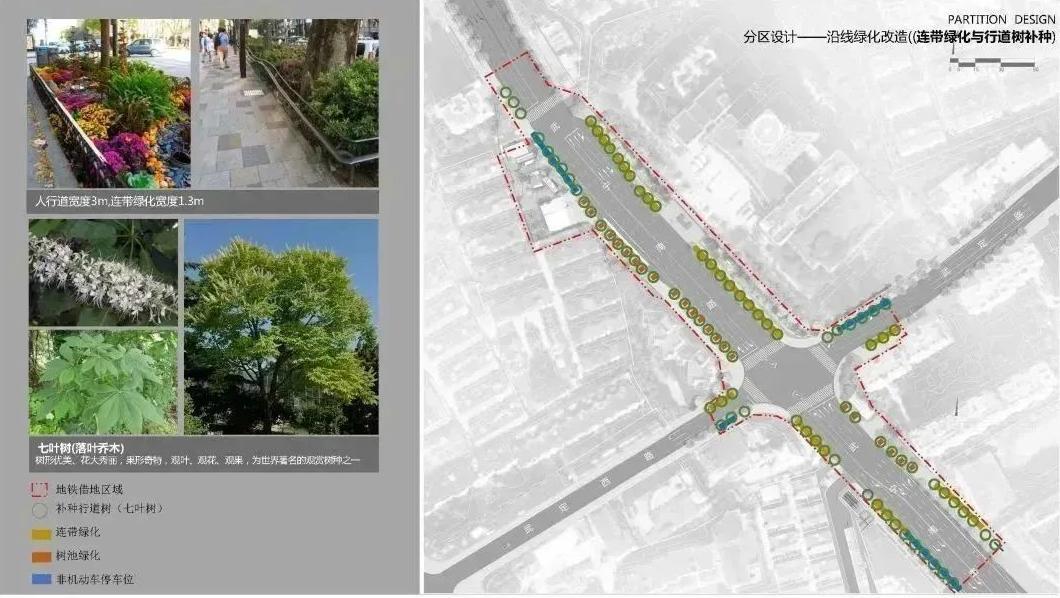 绿意开云体育 开云官网回归！武宁南路沿线绿化恢复工程陆续启动(图4)