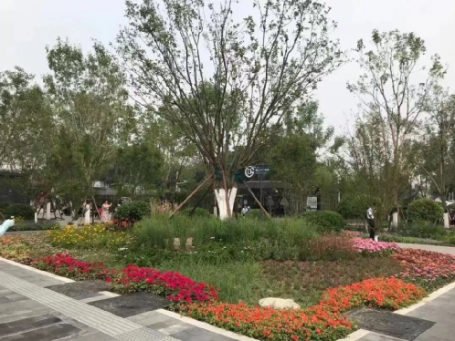 开云体育 kaiyun.com 官网入口留白增绿铺就首都高质量发展的亮丽底色(图1) 开云体育 kaiyun.com 官网入口留白增绿铺就首都高质量发展的亮丽底色(图1)