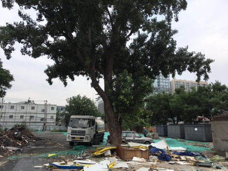 开云体育 kaiyun.com 官网入口留白增绿铺就首都高质量发展的亮丽底色(图9) 开云体育 kaiyun.com 官网入口留白增绿铺就首都高质量发展的亮丽底色(图9)