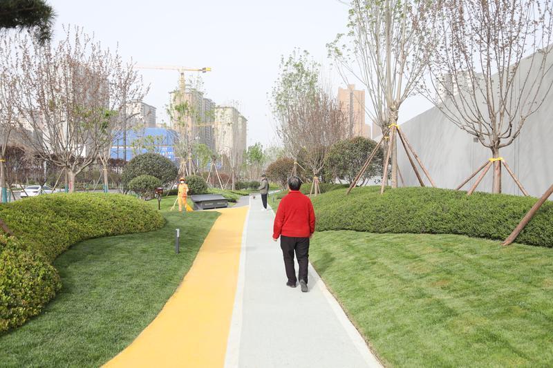 开云APP 开云官网入口274个绿化建设项目让西安颜值更靓丽 清洁行动让城市管理更精细(图1)