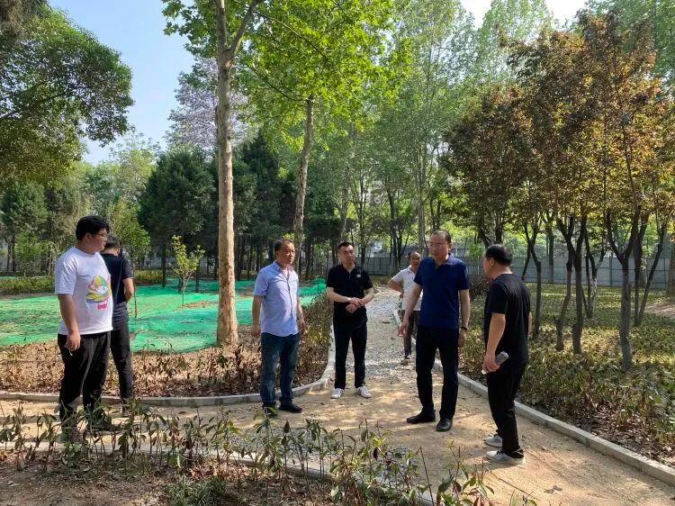 开云体育 开云平台碑林区城管执法局督导检查全区园林绿化补栽及精细化养护工作(图1)
